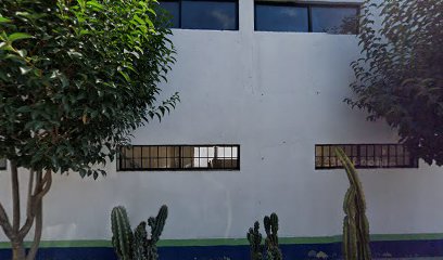 Secundaria Instituto Robles De San Juan