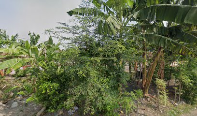 Makam Islam Desa Ketegan