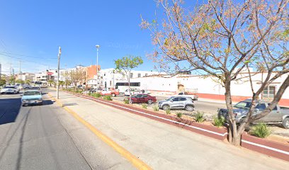 Voluntariado de los Servicios de Salud de Zacatecas A.C.