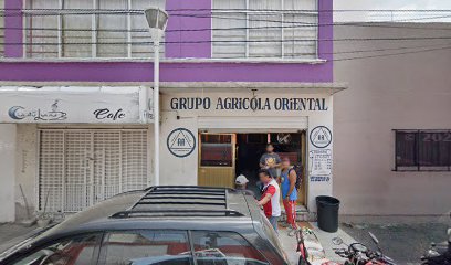 Grupo AA Agricola Oriental