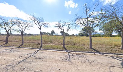 Frutillas Agroecologicas Jujuy