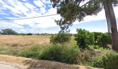 Sociedade Agro Pecuaria Da Fazenda Das Padeiras, Lda.