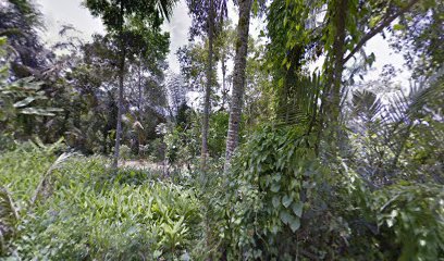 Batulantang waterfall parking