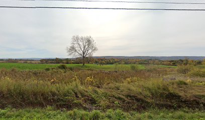 Budlong-Cemetery