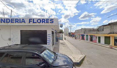 Lavanderia Flores