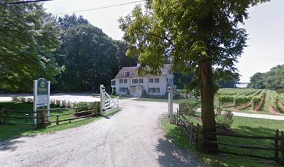 Brunch at Harmony Vineyards catered by farm to table catering, by Filomena