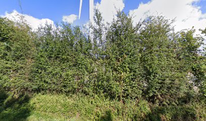 Parc éolien de Champs-voisins