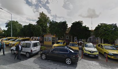 Nazilli Belediyesi Denetimli İstasyon Taksi