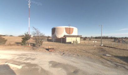 Mustang water tower/Painted