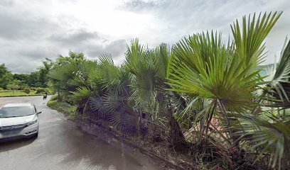 Plant Nursery