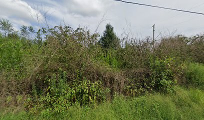 Heber Springs Community Garden