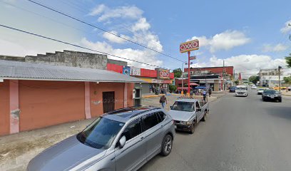 Flores Hidalgo Blanca Arcenia