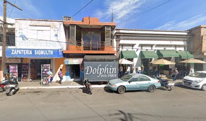 Boutique Dolphin