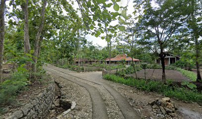 Pijat Bayi Mbah Jem