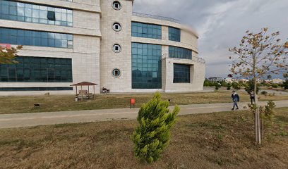 İskenderun Teknik Üniversitesi Turizm Fakültesi
