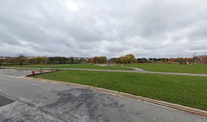 Gamers basketball court