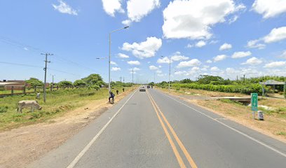 FUNDACION PUNTO VERDE