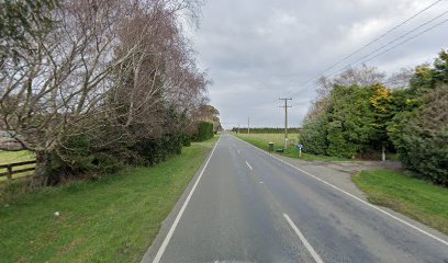 Christchurch, NZ Florist