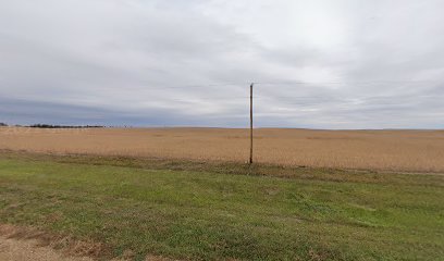 Erickson Field