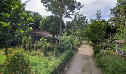 Tanaman Hias VIA SRI REJEKI GREEN