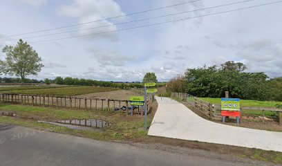 Waikato River Trail - Start of Tamahere to Cambridge section