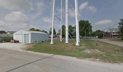 Kirkwood water tower/Flag