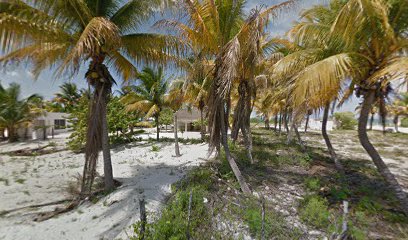 La Casa de la Palapa