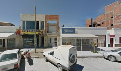 Patagonia Servicios Financieros S.A.