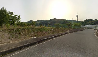 総合運動公園