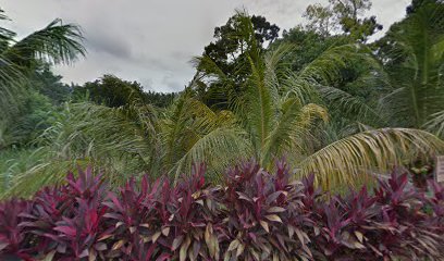 Tanah Perkuburan Islam Kg Pengkalan Minyak (Baru)