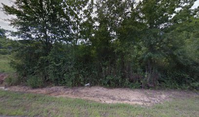 Coastal Plain Land and Timber