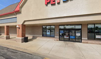 PetSmart Dog Training