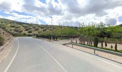 Parque - Parque dеl Puente Pelusa - Zagra