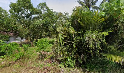 Perkebunan Kasmuddin