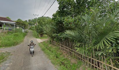 Kebun Cimanggu