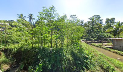 Kebun PKK plobangan