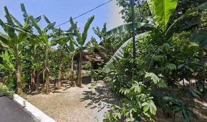 Deni Endra Organic Farm (Pertanian Organik)