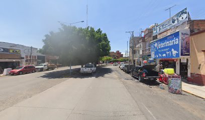 Servicio Boulevard La Piedad