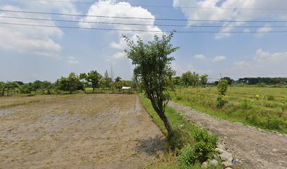 Makam Dusun Tlanak