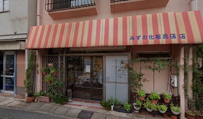 みずの化粧品店