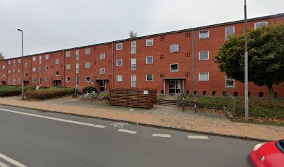 Paaskeløkkevej (Odense Kommune)