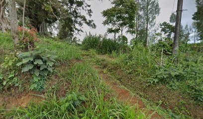 Makam Mbah nyai Hasan malik