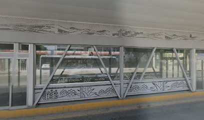 Estacion Alameda Zaragoza - Metrobus Laguna