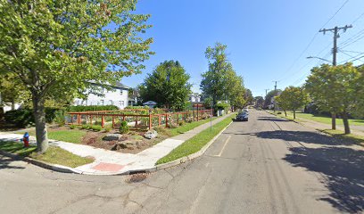 Park Street Community Garden