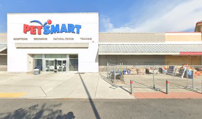 PetSmart Dog Training