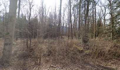 Ferry Island Provincial Park