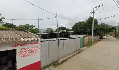 Calle Manuel Altamirano 55, 2da Secc.71290,Ayoquezco de Aldama,Oax,Mexico
