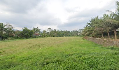 Lapangan kalisemi