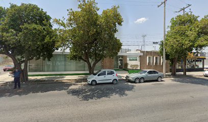 MSA de México, Sucursal Torreón