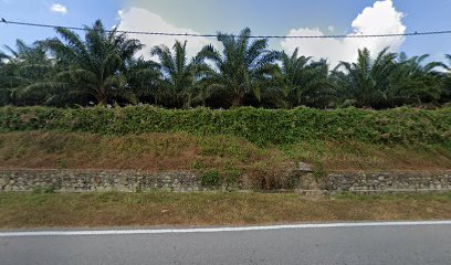 Kuarters Ladang, Sua Betong